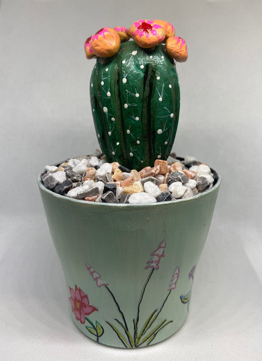 Flowering Cactus in A Hand Painted Pot.