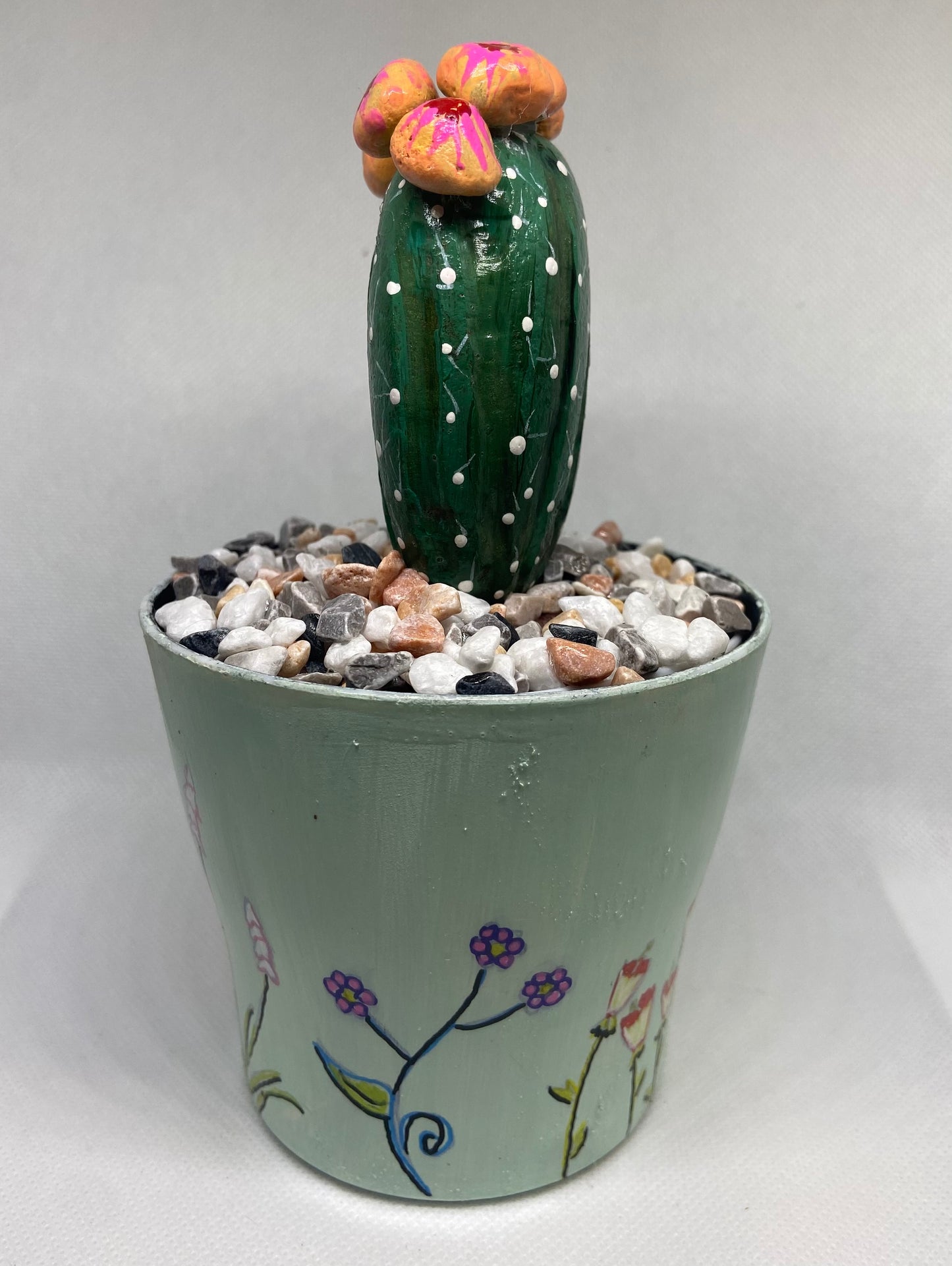 Flowering Cactus in A Hand Painted Pot.