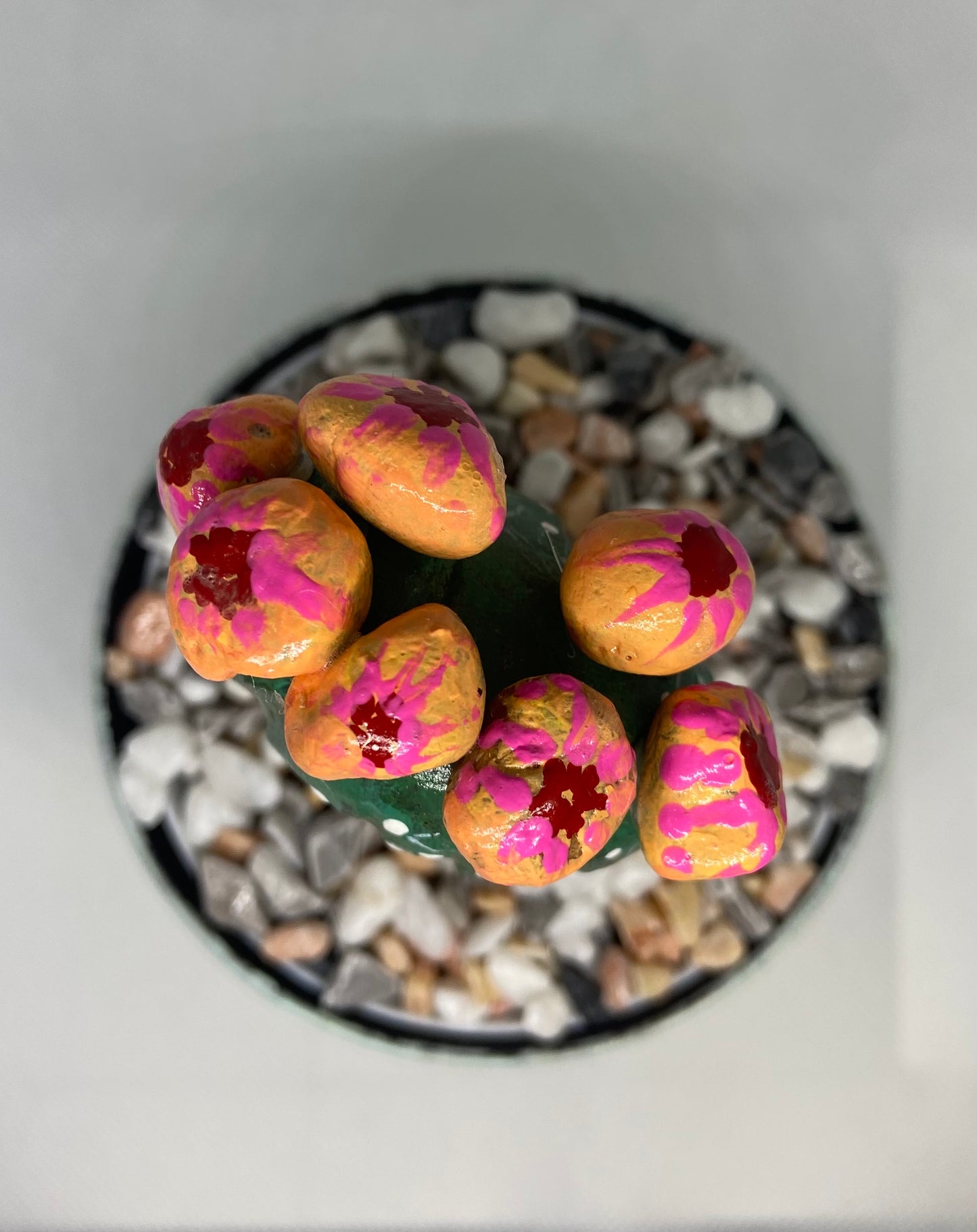 Flowering Cactus in A Hand Painted Pot.