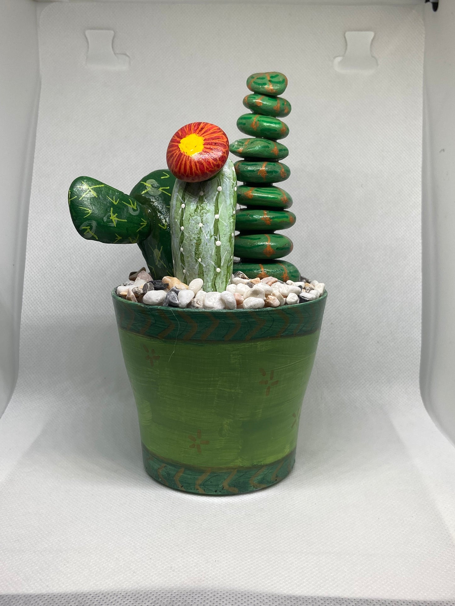 Cactus Trio in Green Pot