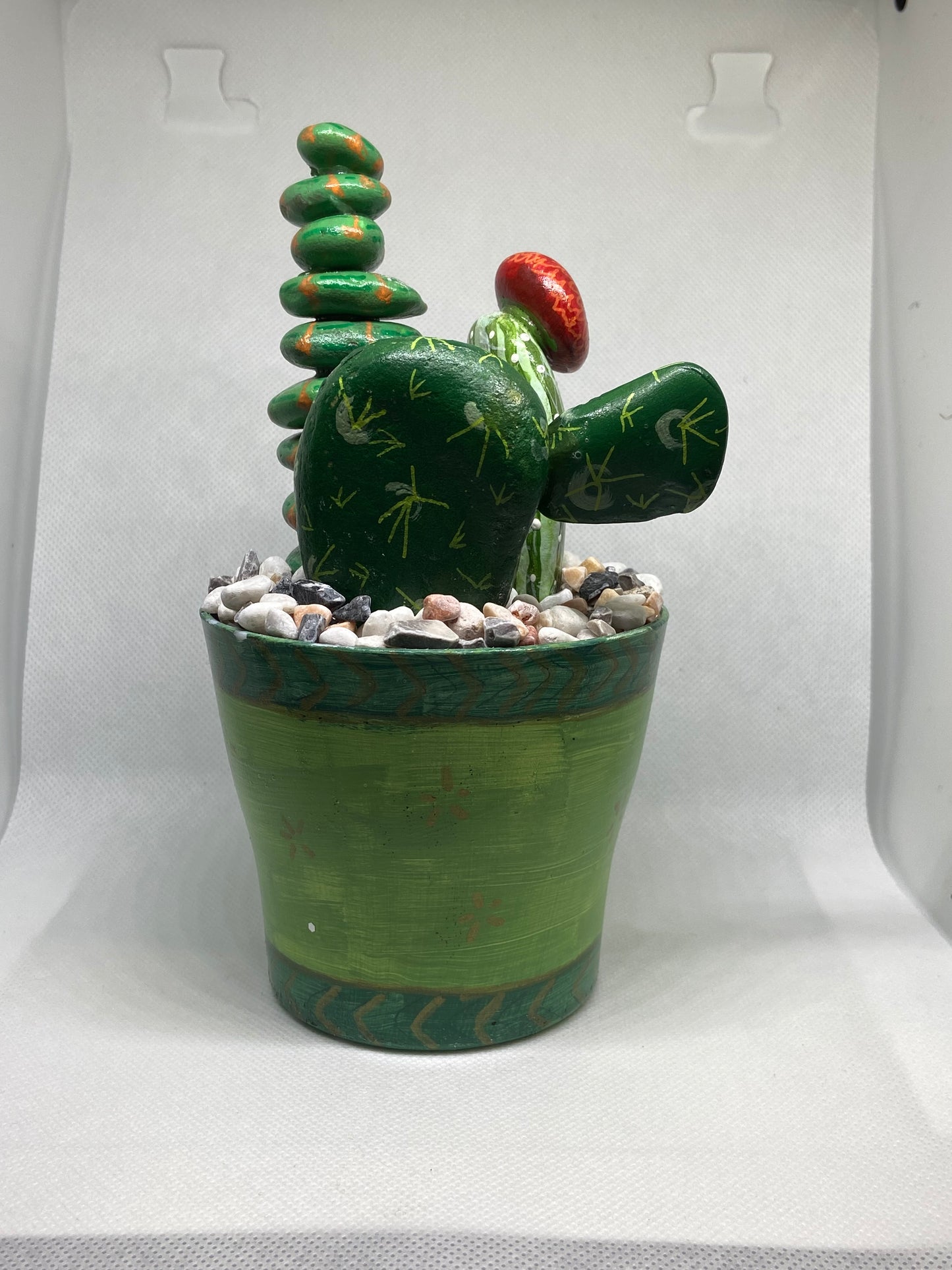 Cactus Trio in Green Pot